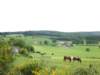HWK Ardennes 2014 010_small.jpg